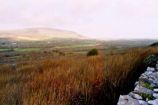 Burren Wee Cottages and Burren Wee Bungalow