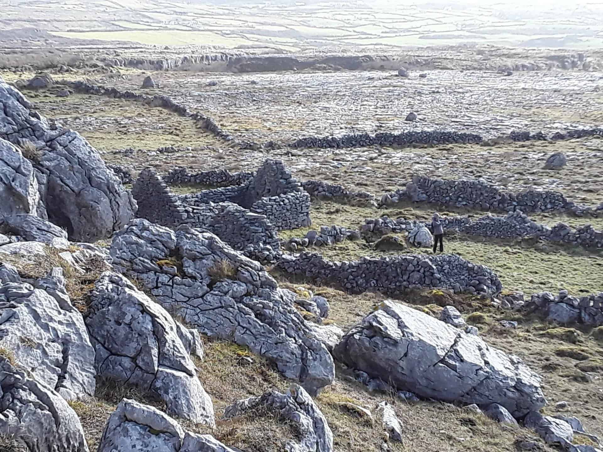 Heart of Burren Walks